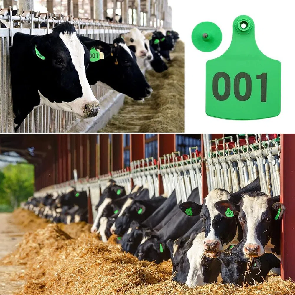 Ohrmarken für Rinder, 001–500, nummeriert, Kunststoff-Ohrmarken für Vieh, Ohrmarken für Kühe, Ohrmarken für Nutztiere, Ohrmarken für Schweine, Ohrmarken für Tiere Red 6*7.5cm (2.36*2.95in) 001-100