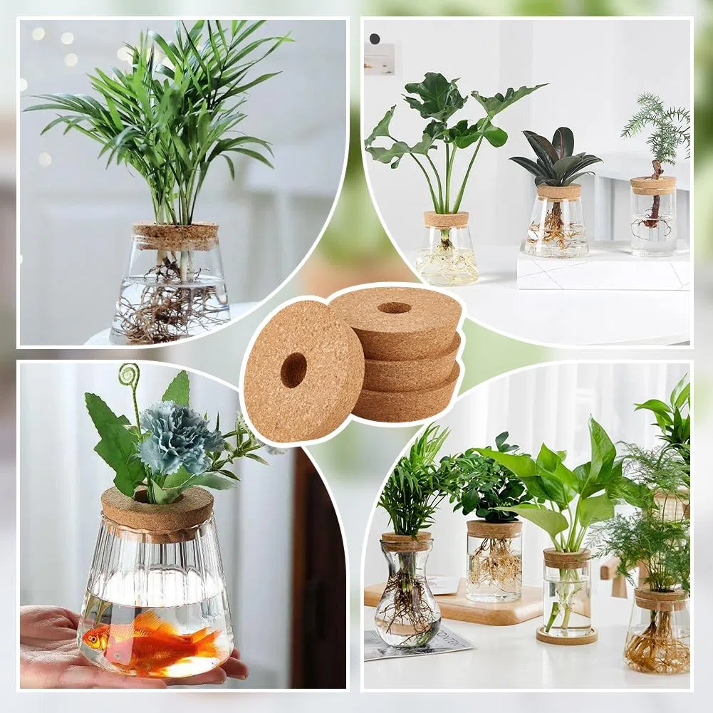 OLYCRAFT 4 Packung Korkdeckel Für Glaspflanzgefäße 10.6~12cm Hydrokulturdeckel 3cm Dicke Terrarium Korkabdeckungen Mit 3cm Loch Natürliche Korkstopfen Für Hydrokultur Pflanzenanzucht Anzuchtvasen