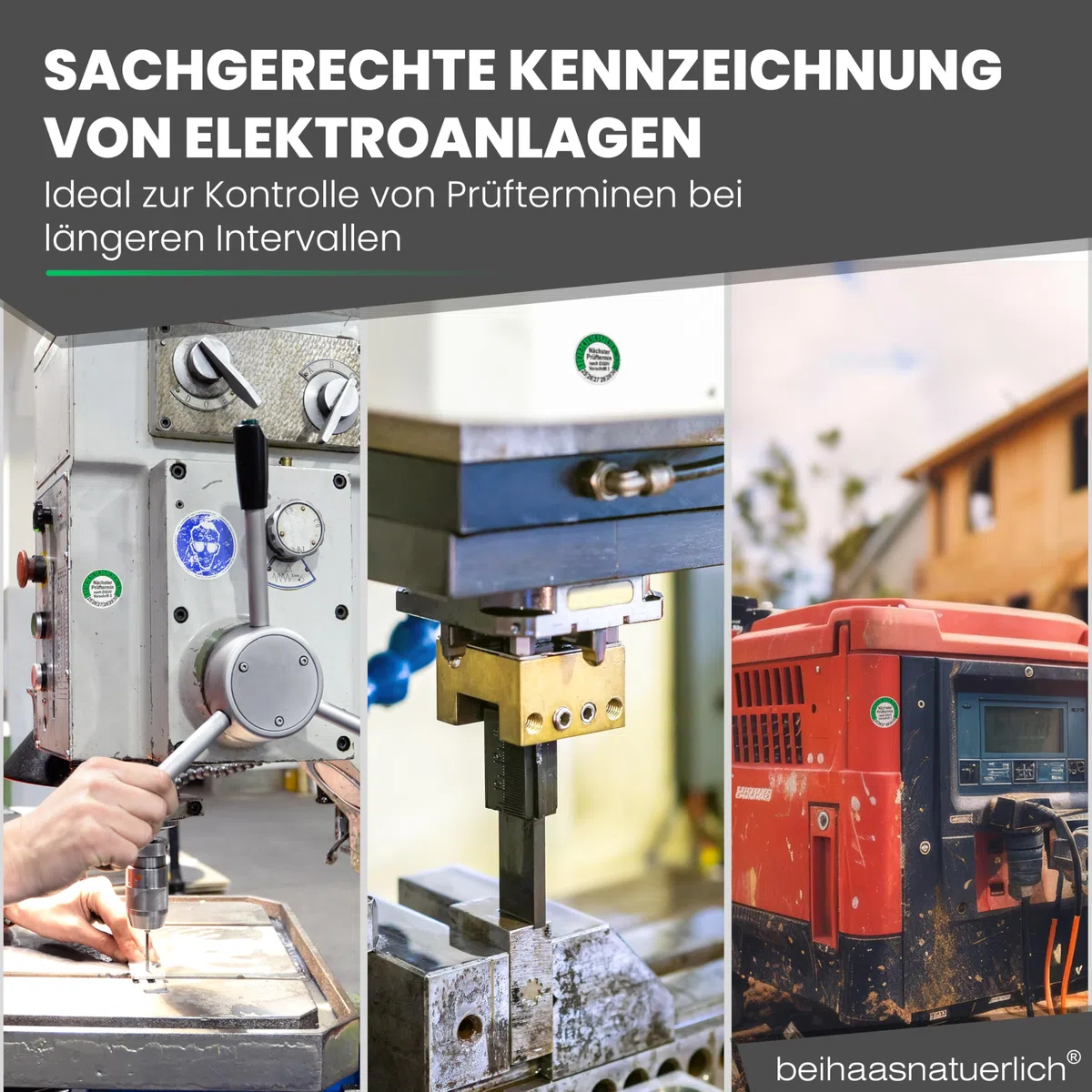 560 Stck Prüfplaketten "Nächster Prüftermin", 20 mm Ø, Prüfetiketten nach DGUV V3, 2025-2030, Prüfaufkleber, E-Check Prüfetikett, Plakette für Elektrogeräte (Grün, 5 Bogen)