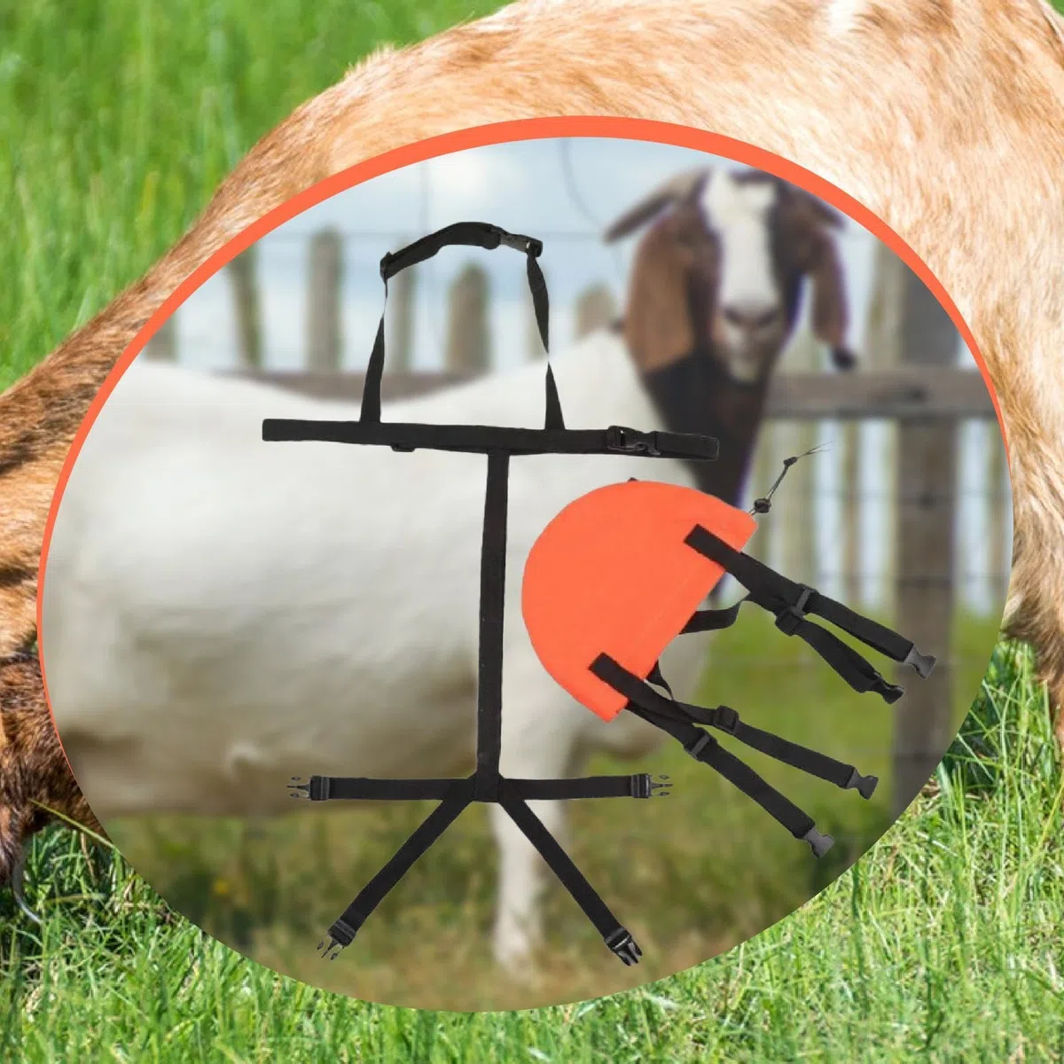 Amagogo Ziegen BH, Verstellbarer Brustgurt, Viehbedarf, Ziegen Braudder Tasche