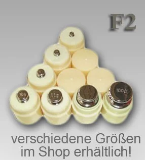 G&G 100g F2 Edelstahl Kalibriergewicht Prüfgewicht inkl. Schutzhülse / Genauigkeitsklasse F2
