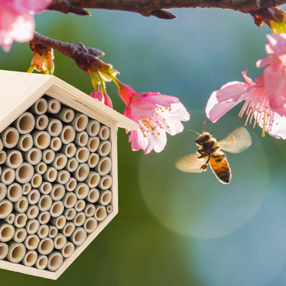 Topyond Hexagonal Bee House, handgefertigtes Holzbienenhotel für Garten, zieht Bestäuber, Mason Bee House mit Röhren, Outdoor Bee Hotel für Garten, Bienenbox für Mason Bees an