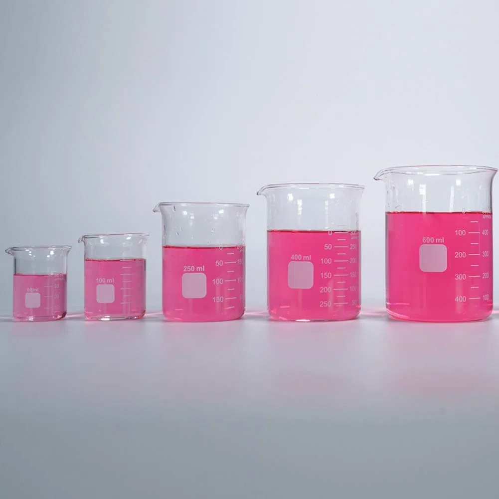 Borosilikatglas Bechergläser Set Becherglas mit klare Ausguss 50ml 100ml 250ml 400ml 600ml Meßbecher