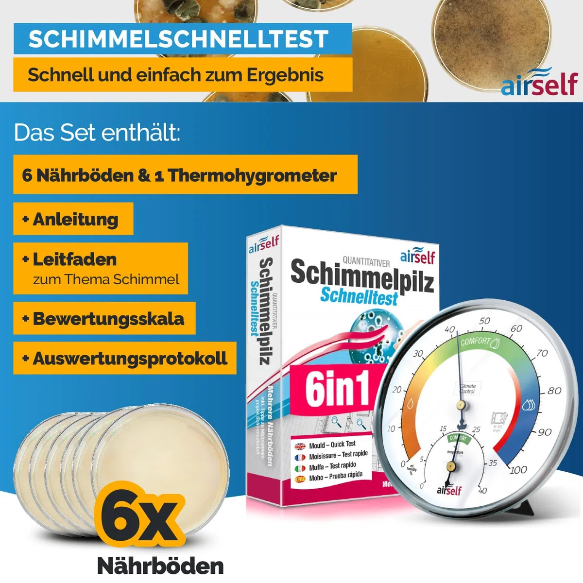 Schimmeltest + Thermohygrometer analog für bis zu 6 Räume | zum Check der Schimmelbelastung, inkl. analogem Thermo-Hygrometer