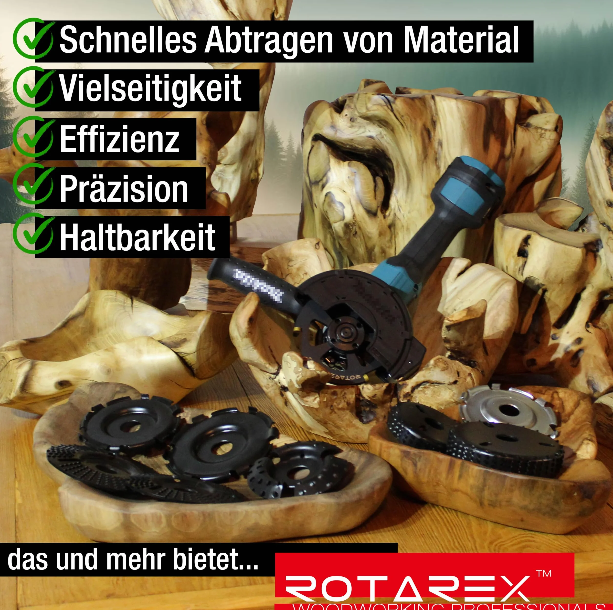 ROTAREX Profi-Schnitzscheibe für Holz (Hart und Weich) - Holschnitzscheibe aus Schwedischer Hartstahl - Ø 125 mm x 22,2 mm