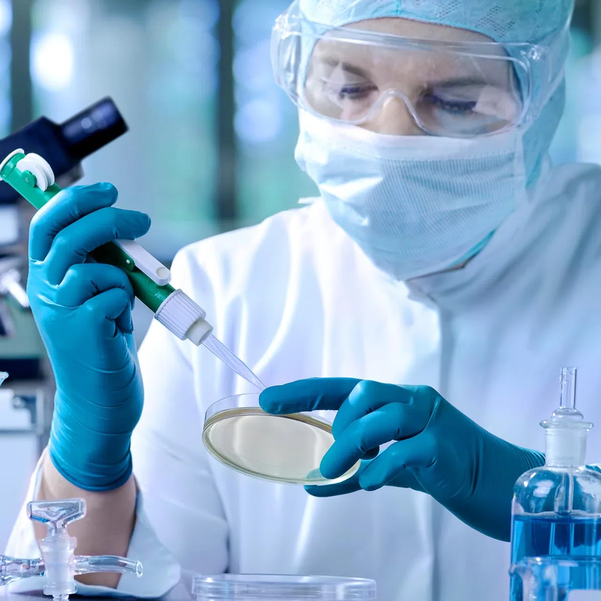 IMIKEYA 20 Stück Vorgegossene Agarplatten Agarplatten Für Wissenschaftliche Experimente Petrischalen Mit Nähragar Für Labor Schule Und Forschungsprojekte