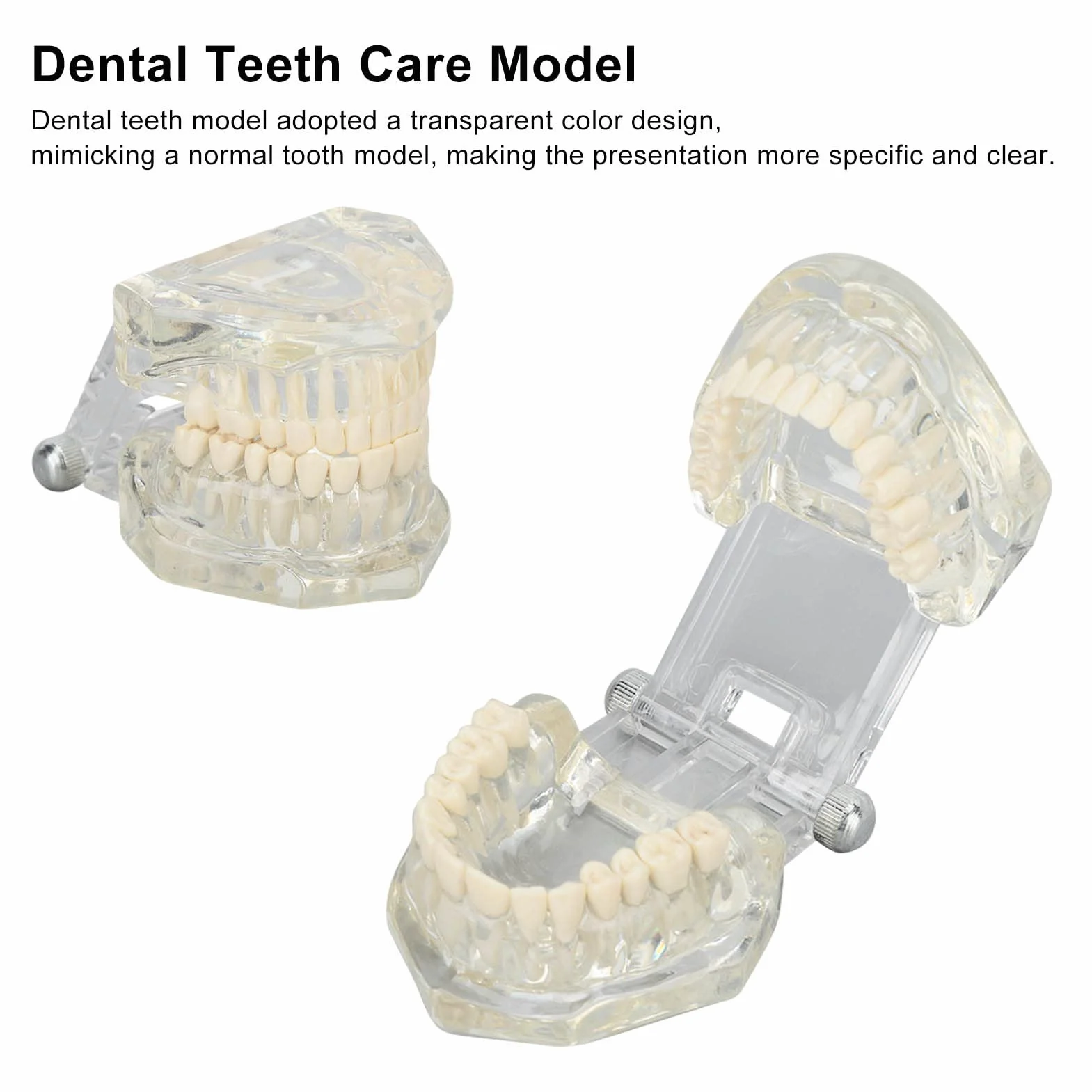 Dental Oral Typodont, Lernzahnmodell Mit Klarer Struktur, Standard-Zahnzahnmodell, Zahnmodell Kompatibel Für Zahnärzte, Lehrer Und Studenten
