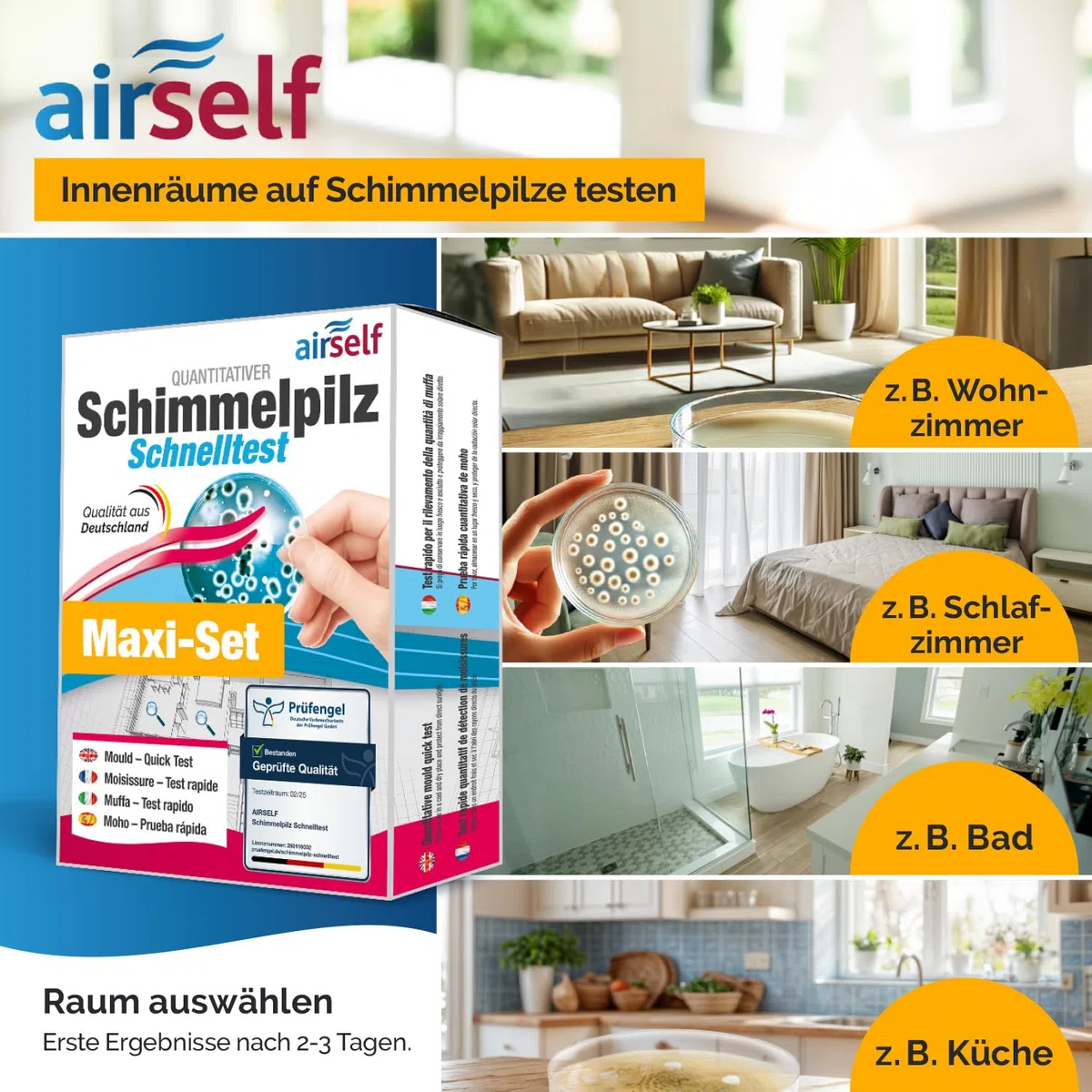 airself Schimmeltest Maxi-Set, 12 Nährböden | zur Untersuchung der Schimmelpilzbelastung in Innenräumen