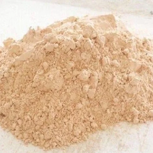 Kieselgur Diatomeenerde 20KG
