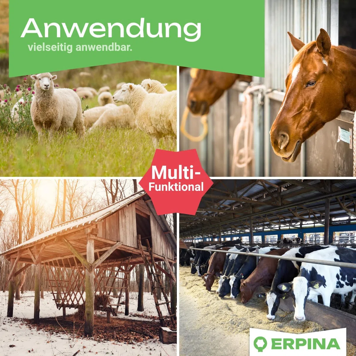 5er Pack Lecksteinhalter Pferd pink - für 10 kg Lecksteine ohne scharfe Kanten - stabiler Salzsteinhalter bruchsicher aus Kunststoff für Pferde, Rinder, Wild - für Hof & Stall