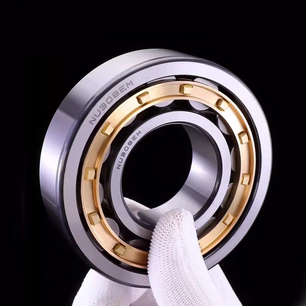 1 Stück NUP1010 EM Zylinderrollenlager 50 mm x 80 mm x 16 mm Hohe Geschwindigkeits- und Hochtemperaturbeständigkeit Einreihiges Zylinderrollenlager