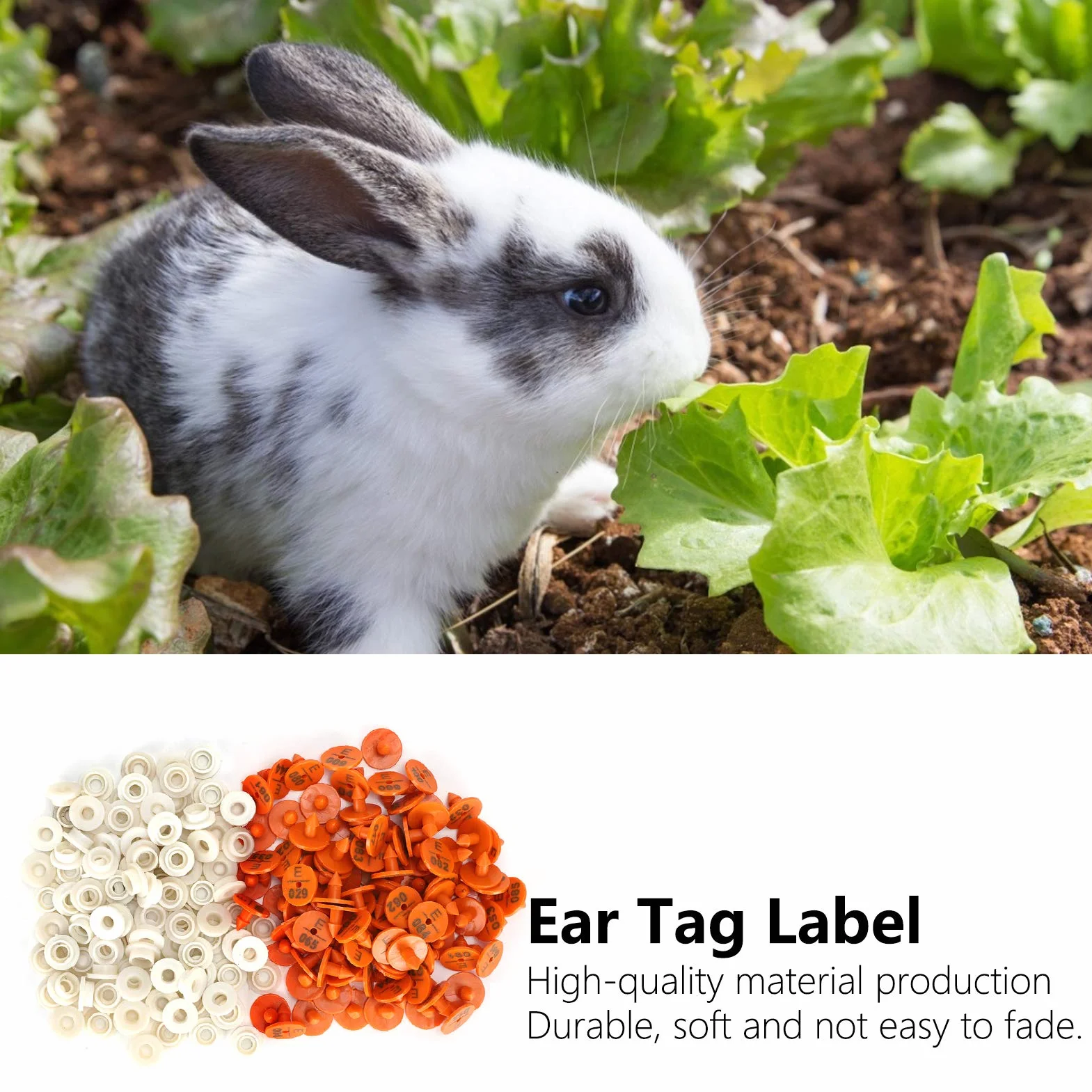 Ohrmarke Für Kaninchen Nummerierte Ohrmarkierung Tier-Tier-Identifikationsetikett Etikett Farm Supplies 100 Sets