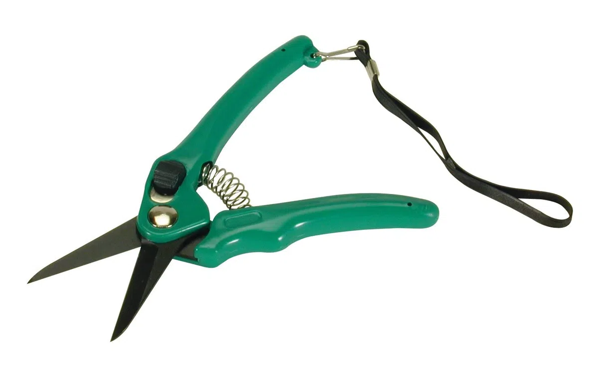 Burgon & Ball Footrot Schere Supersharp - Clear, Unisex, BBL0038