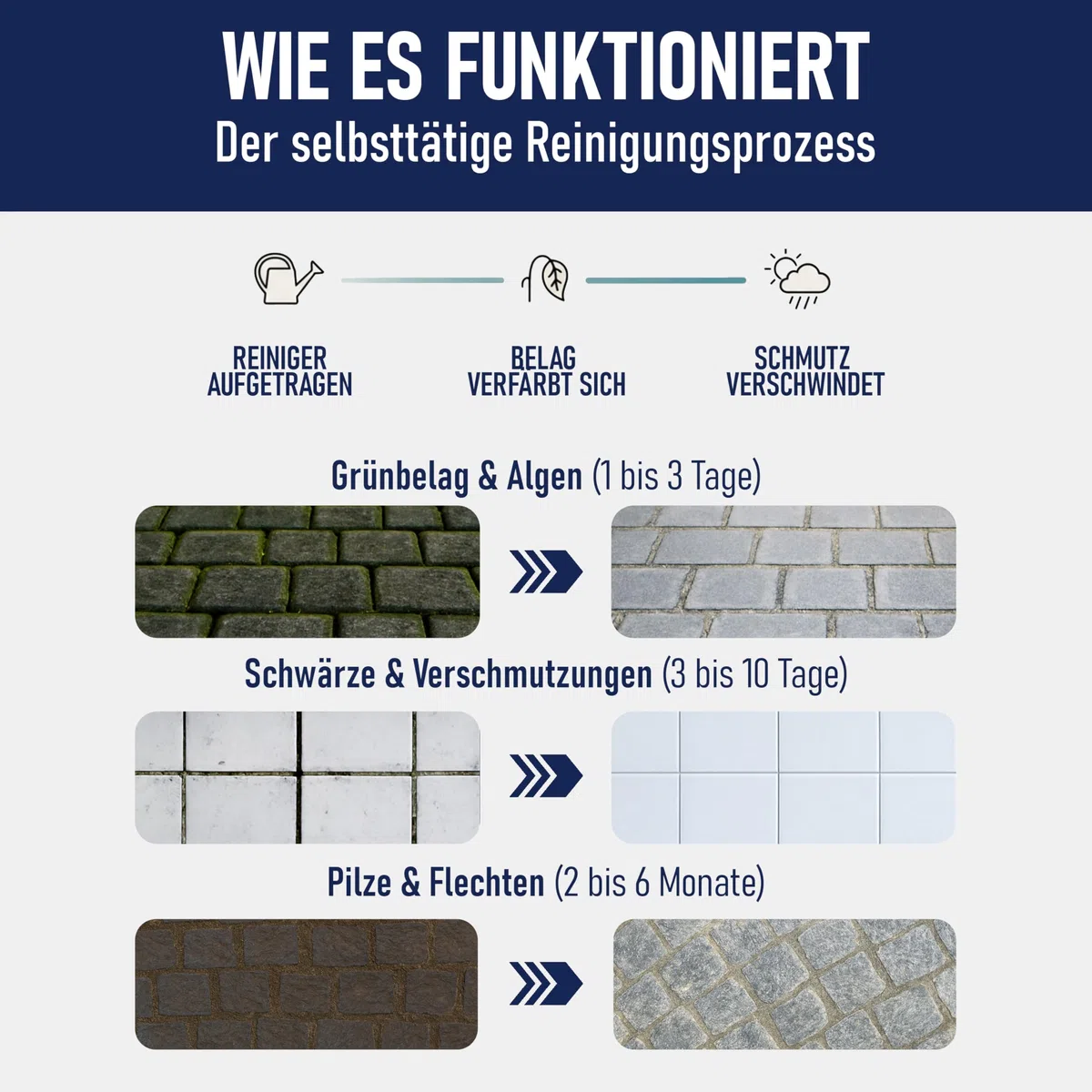 A.K.B. Steinreich - Steinreiniger Außen 2,5 Liter - Grünbelagentferner Konzentrat für selbsttätige Reinigung und saubere Wege & Plätze - Steinreiniger intensiv außen
