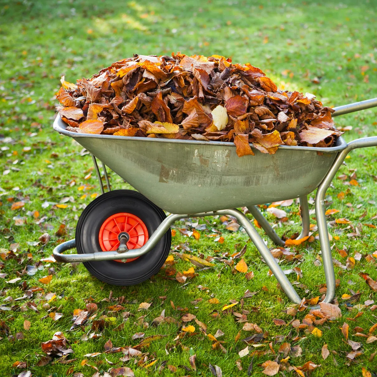 Relaxdays Schubkarrenrad 4.00-6, Vollgummirad mit Kunststofffelge, 3 Adapter, Ersatzrad pannensicher, 100kg, schwarz-rot, 33 x 33 x 9 cm