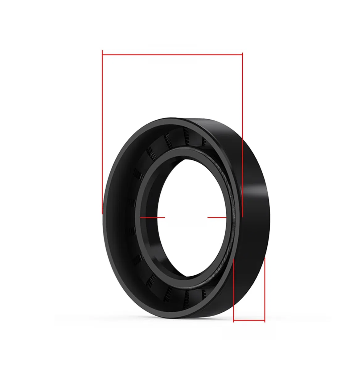 2 Stück Öldichtung 100mm x 125mm x 12mm, TC Öldichtung Doppellippe mit Feder, Schwarz