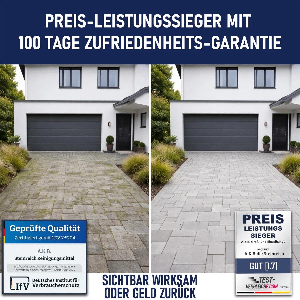A.K.B. Steinreich - Steinreiniger Außen 2,5 Liter - Grünbelagentferner Konzentrat für selbsttätige Reinigung und saubere Wege & Plätze - Steinreiniger intensiv außen