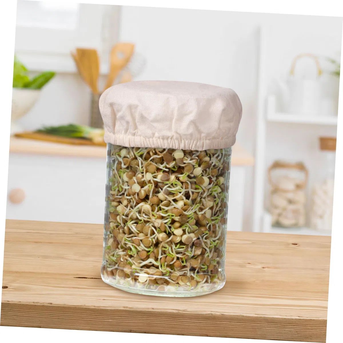 ABOOFAN 2 Sätze Hefefermenter-Set Glas-stoffabdeckung Glasgefäß-zubehör Zubehör Für Sauerteig-startergläser Thermometerstreifen Sauerteig-starterglas-stoffbezug Datumsbänder Baumwolle