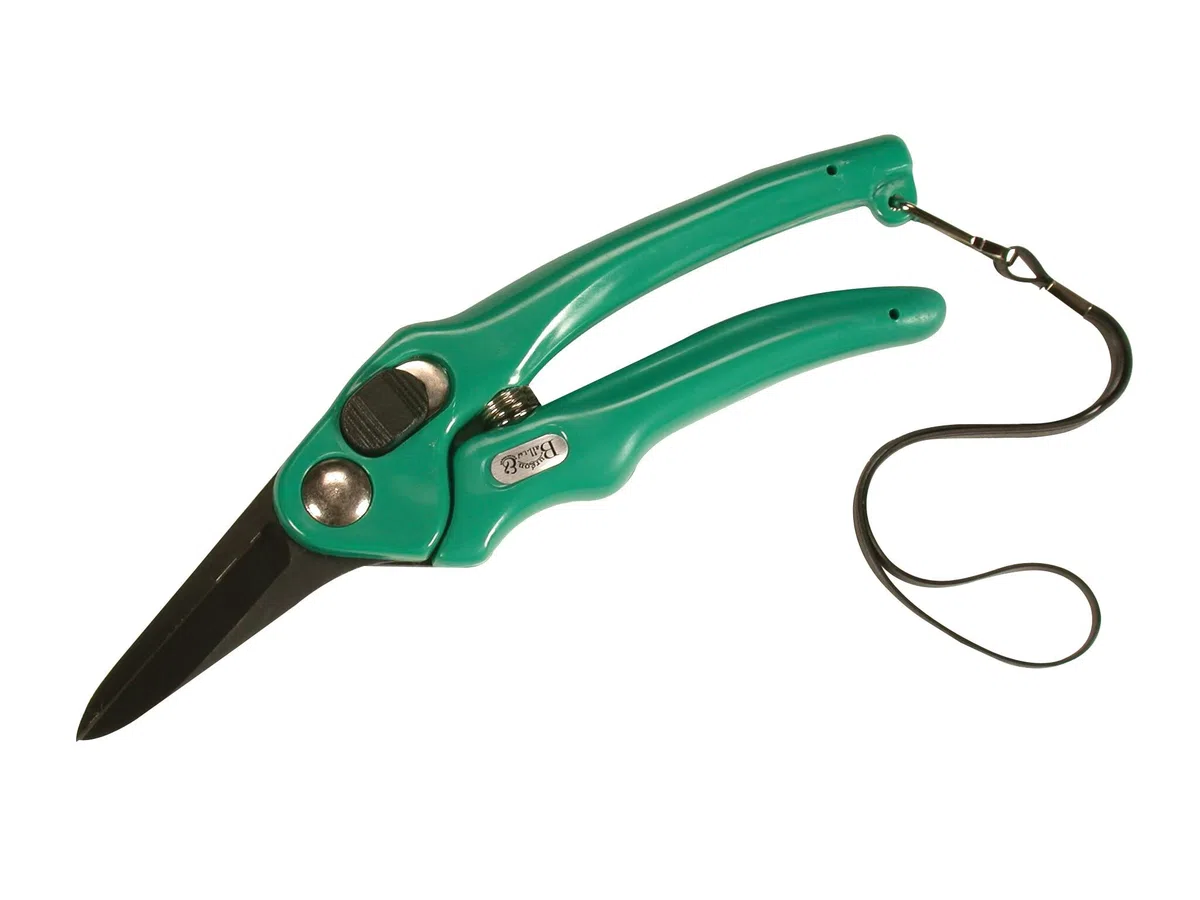 Burgon & Ball Footrot Schere Supersharp - Clear, Unisex, BBL0038