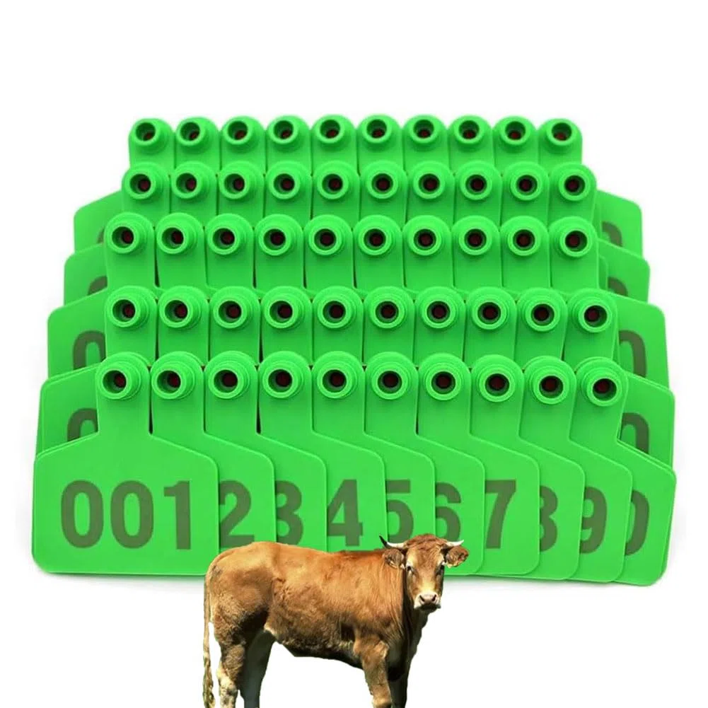 Ohrnummer Schwein/Schaf/CAG Ohrnummer 001-100/101-200/201-300/301-400/401-500. Erhältlich in 6 Farben, um leicht Tiere zu verwalten (Bleu, Rouge, Jaune, Vert, Rose, Orange) Grün calf001-100