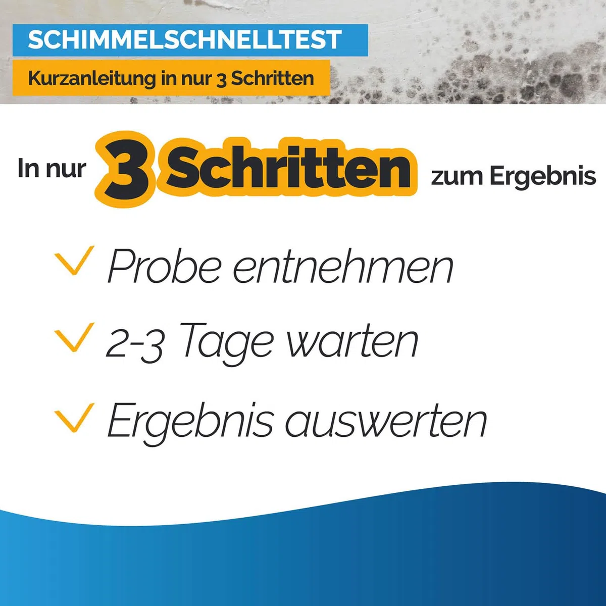 airself Schimmeltest Maxi-Set, 12 Nährböden | zur Untersuchung der Schimmelpilzbelastung in Innenräumen
