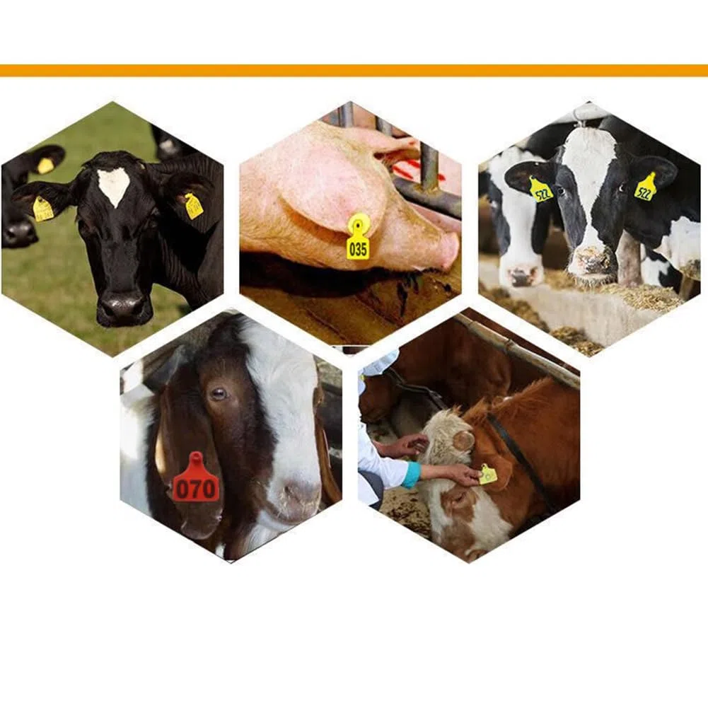 100 Stück Rinder-Ohrmarken Nr. 001-1000, Kunststoff-Ohrmarken für Nutztiere für Kühe, Ziegen, Schafe, Schweine, Tieridentifikations-Ohrringe 401-500 Grün