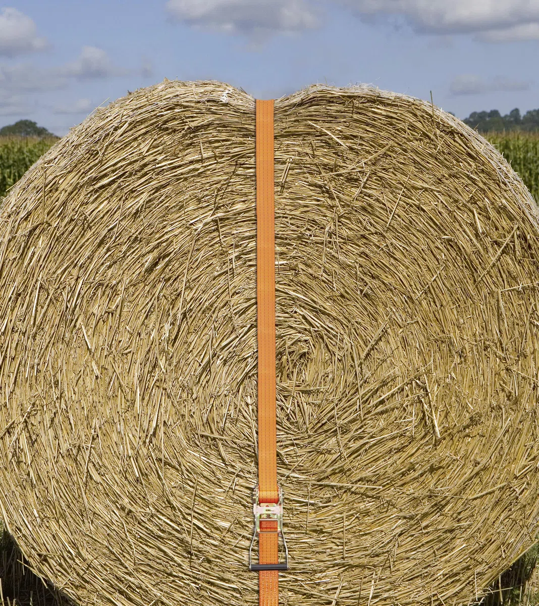 Kerbl works Ratschenzurrgurt mit Spitzhaken, Spanngurt, 2-teilig, orange, 15 m x 50 mm, Polyestergewebe, Vorspannkraft 280 daN, GS-geprüft