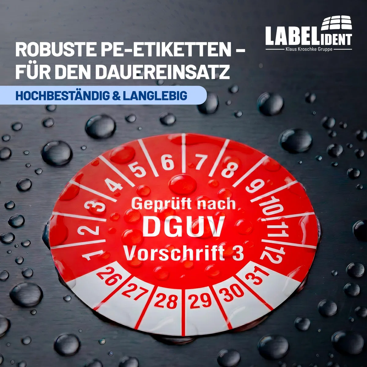 Labelident Prüfplaketten Geprüft nach DGUV Vorschrift 3 - Ø 20 mm - 1.000 auf Rolle, 2026-2031, selbstklebend