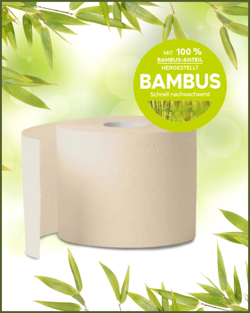 œcolife Toilettenpapier Box Bambus, 3-lagig, 27 Rollen, 250 Blatt pro Rolle, vegan, plastikfrei verpackt, aus 100% Bambus-Zellstoff, super sanft und weich, ohne Kolophonium | 100 % Bambus