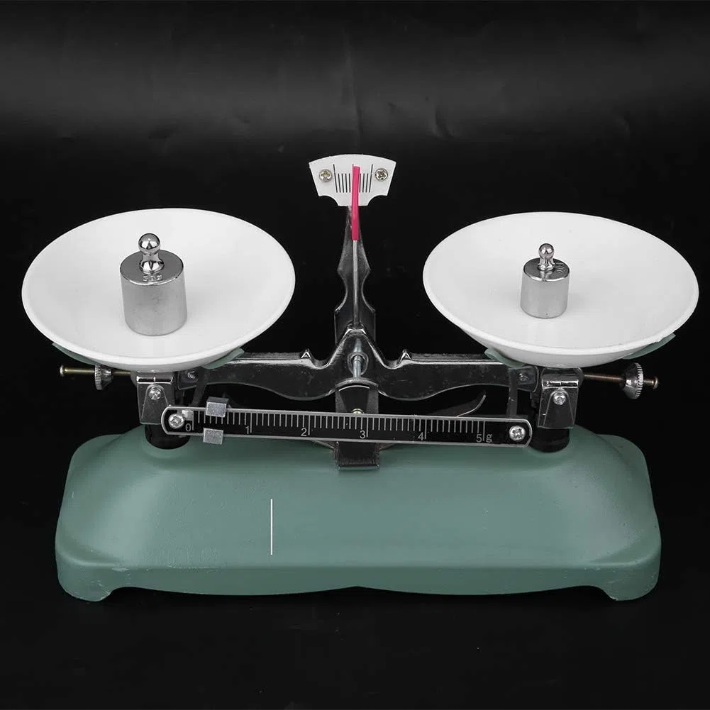 Schulwaage Waage Metall Spielzeug Tischwaage Maßstab Mechanische Waage mit Pinzette und Kalibriergewicht für Laborunterricht Physikzubehör Verschiedene Gewichte(100 g)