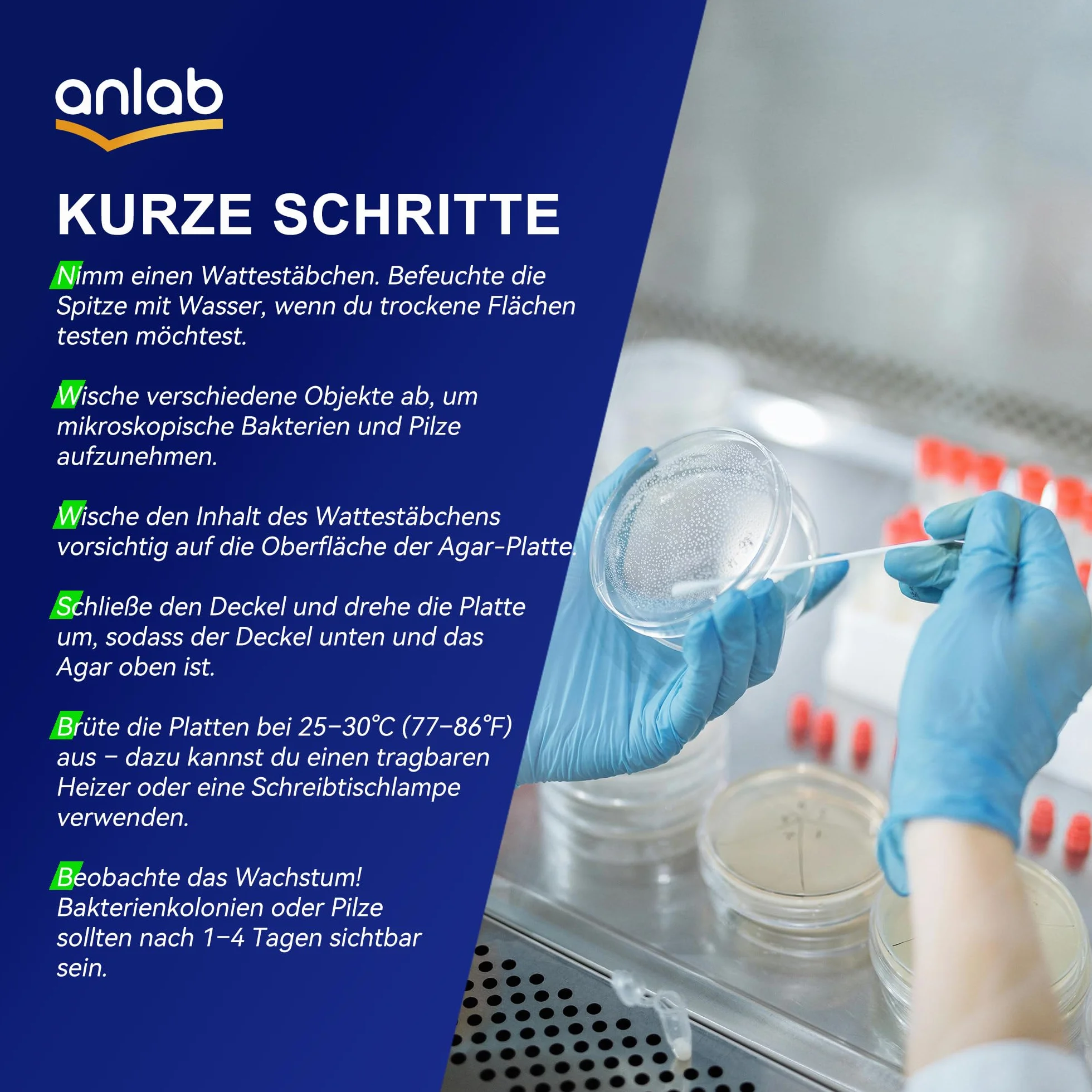 Nutrient Agar Petri Dishes Science Project Kit | Pre-Poured Agar Plates and Cotton Swabs for Science Experiments | Bacteria Science Kit - Sealed Separately (10)