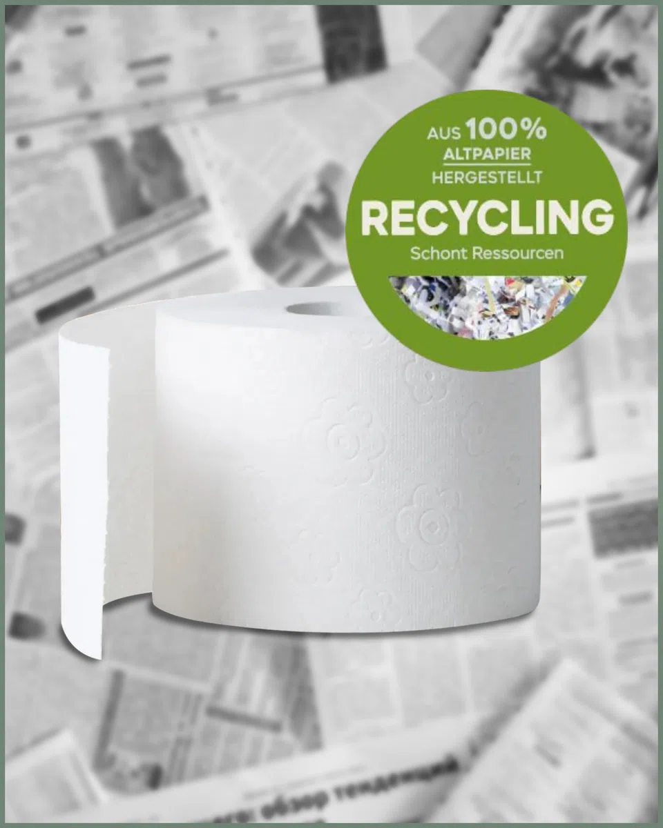 œcolife Toilettenpapier Box Recycling, 3-lagig, 27 Rollen, 250 Blatt pro Rolle, Recyclingpapier, plastikfrei verpackt, hellgraues Papier, angenehm weich und sanft | angenehm weich