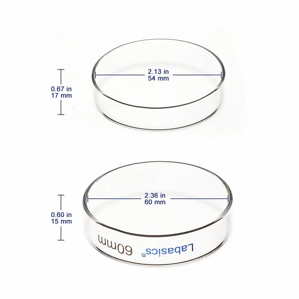 Labasics 10er-Pack Glas Petrischalen, 60x15 mm Autoklavierbare Zellkulturschalen aus Borosilikatglas Petrischalen mit Durchsichtigem Deckel für Labor