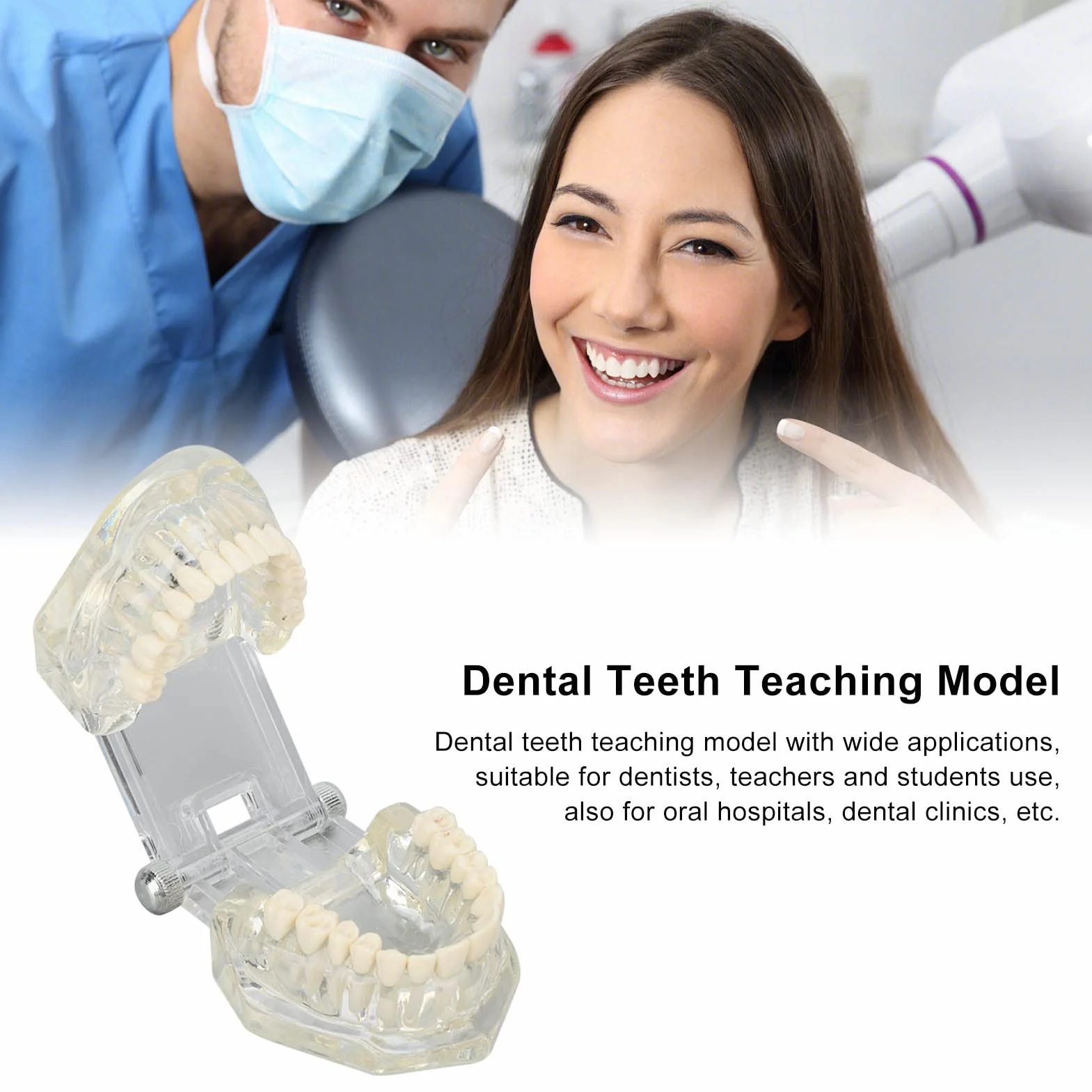 Dental Oral Typodont, Lernzahnmodell Mit Klarer Struktur, Standard-Zahnzahnmodell, Zahnmodell Kompatibel Für Zahnärzte, Lehrer Und Studenten