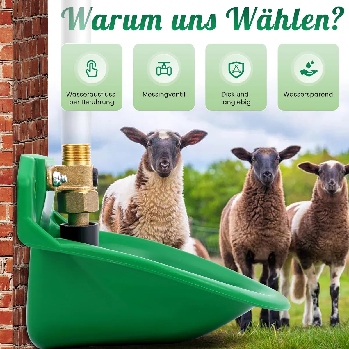 2 PCS Automatische Tränkebecken für Schafe, ViehträNken mit Abflusslöchern, Automatische Wasserversorgung für Pferde, Rinder, Schafe, Schweine und Hunde, WeideträNken, Grün