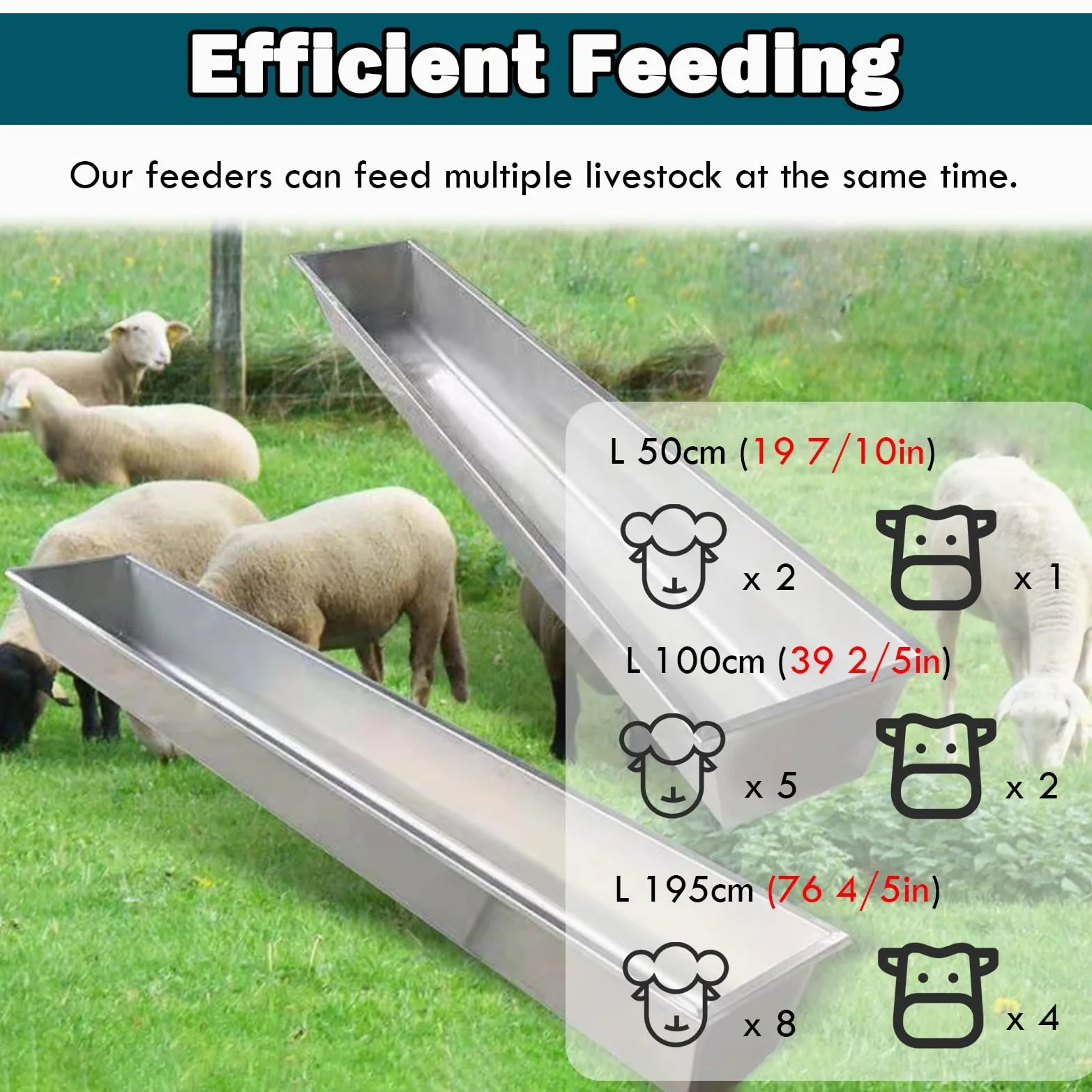 Futterspender und Wassertrog aus Edelstahl – langlebige Futter- und Bewässerungslösung für Pferde, Kälber, Rinder und Schweine