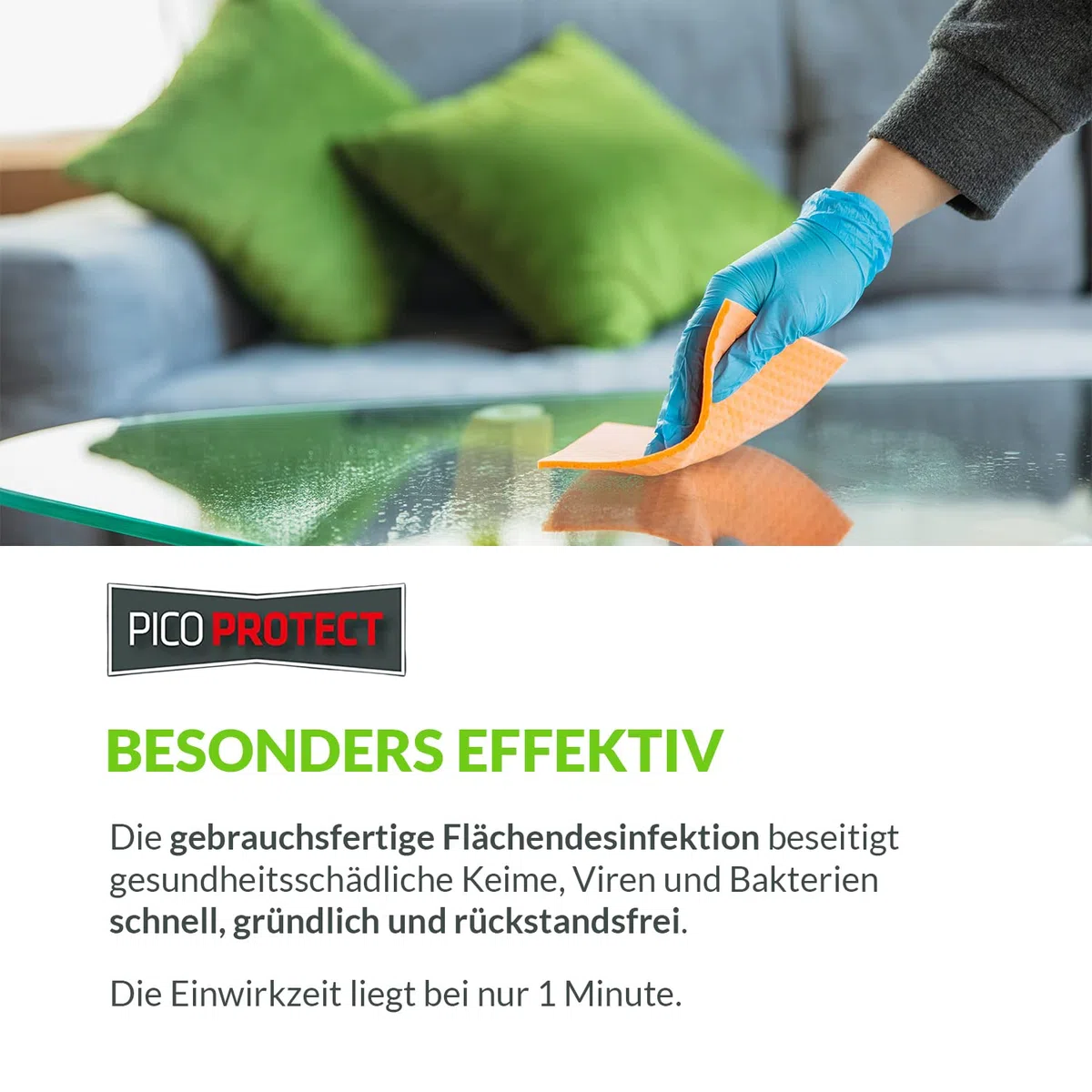31, 5L Schnelldesinfektion Flächendesinfektionsmittel alkoholfrei - Desinfektionsmittel für Flächen wirkt gegen Viren, Bakterien, Pilze & Keime – Desinfektion von Oberflächen