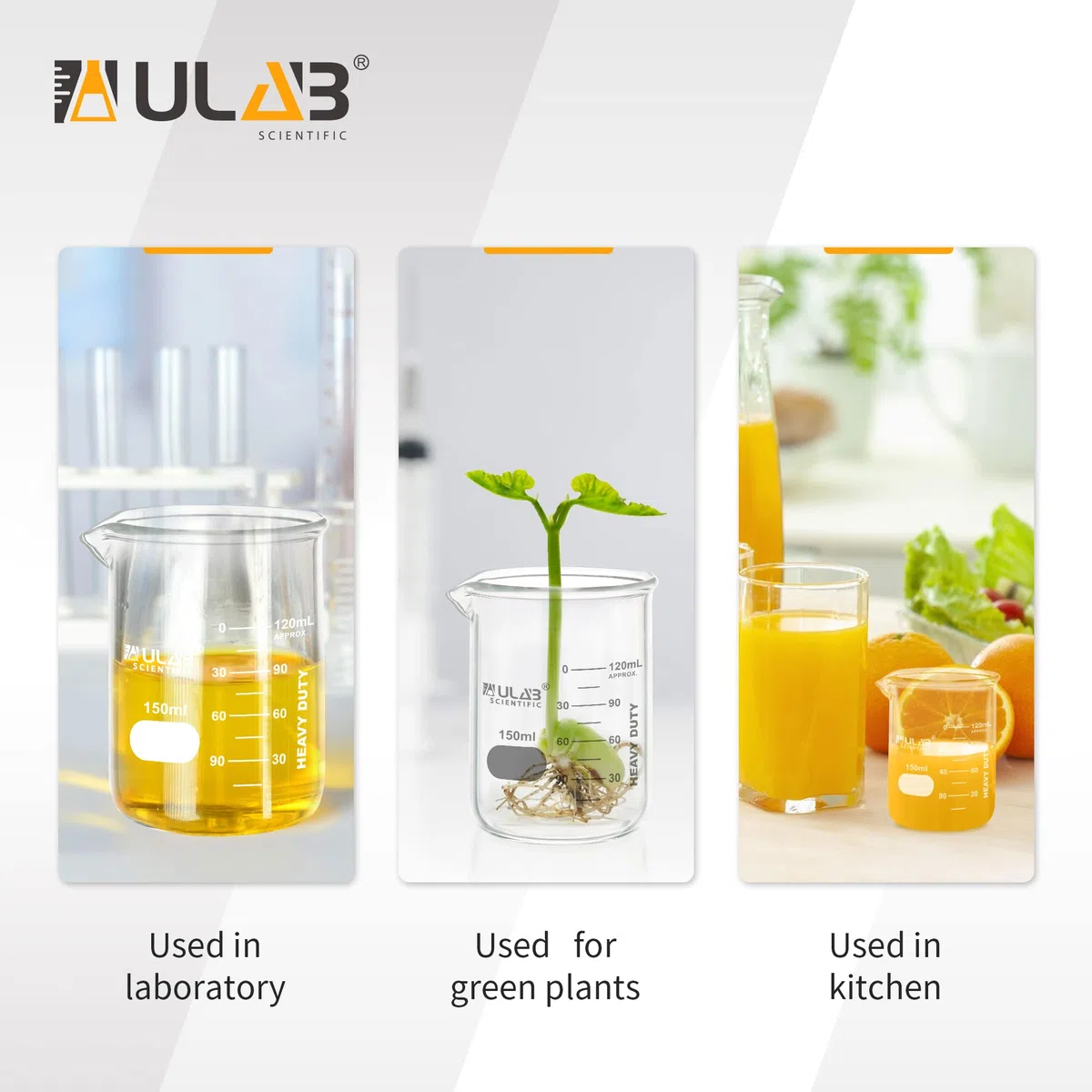 ULAB Heavy Duty Glas Becher, 6pcs von Vol.150ml(5.07oz), Borosilikat 3.3 Glas, dicke Wand Becher, mit doppelter Skala, Superior Durability & chemische Beständigkeit, UBG1052