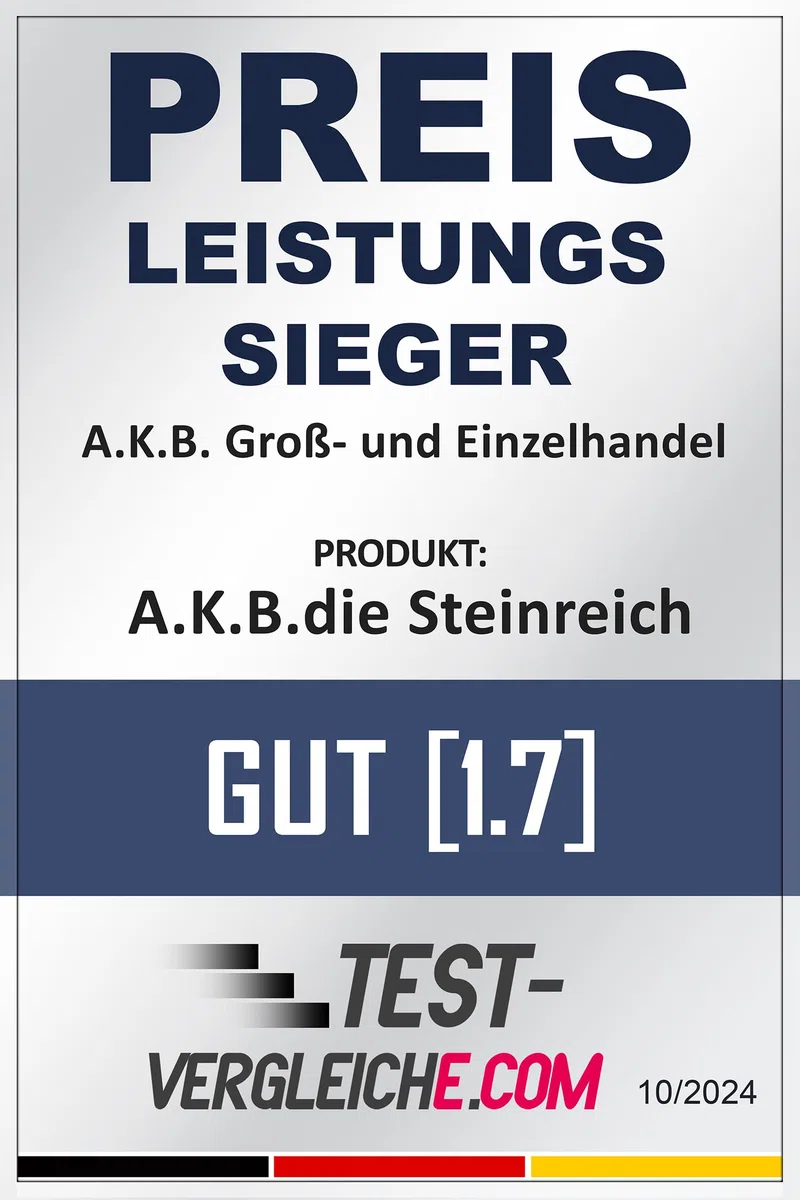 A.K.B. Steinreich - Steinreiniger Außen 2,5 Liter - Grünbelagentferner Konzentrat für selbsttätige Reinigung und saubere Wege & Plätze - Steinreiniger intensiv außen
