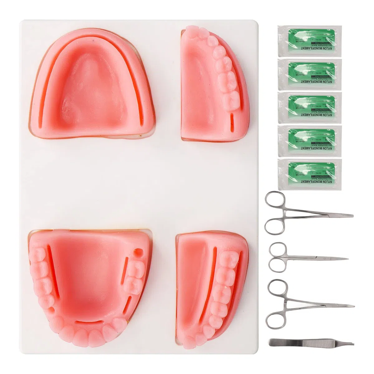 Fyearfly Orales Naht Trainingsset, Dentales Naht Übungsset, Dental Naht Praxis Kit Silikon Modell Zange Pinzette Gewinde Oral Naht Training Kit Für Das Nahttraining in Der Zahnmedizin