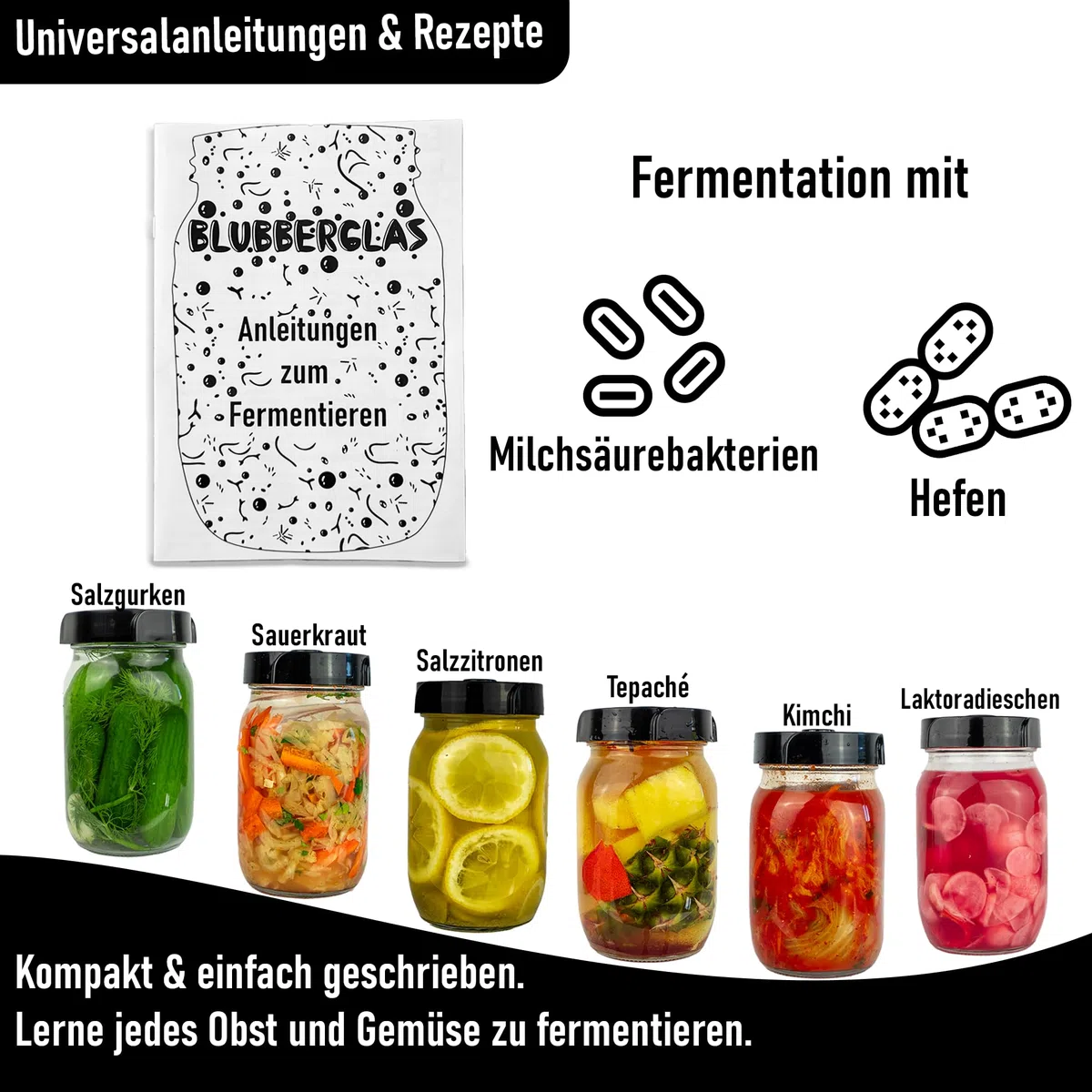 Fermentationskit Basic (1L Wide Mouth) – Gärset für Sauerkraut & Kimchi – Fermentierglas mit Gärspund-Deckel & Glasgewicht – Das Einstiegs-Set