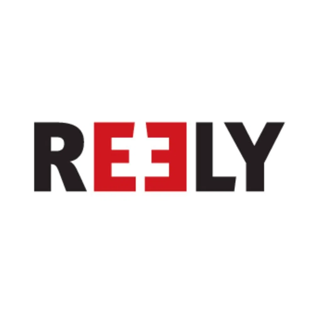 Reely Messing, Stahl Schneckenradsatz Modul-Typ: 0.5 Anzahl Zähne: 20