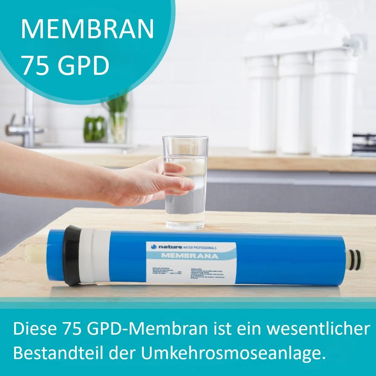 Ideale Membran für Umkehrosmose – 75 GPD – Beseitigung anorganischer Salze, Schwermetalle, organischer Stoffe und chemischer Materialien – Nature Water Professionals