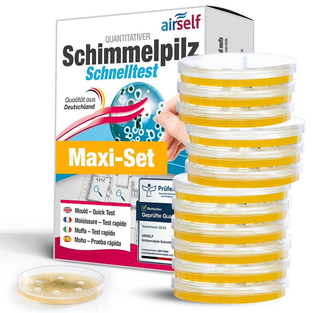 airself Schimmeltest Maxi-Set, 12 Nährböden | zur Untersuchung der Schimmelpilzbelastung in Innenräumen