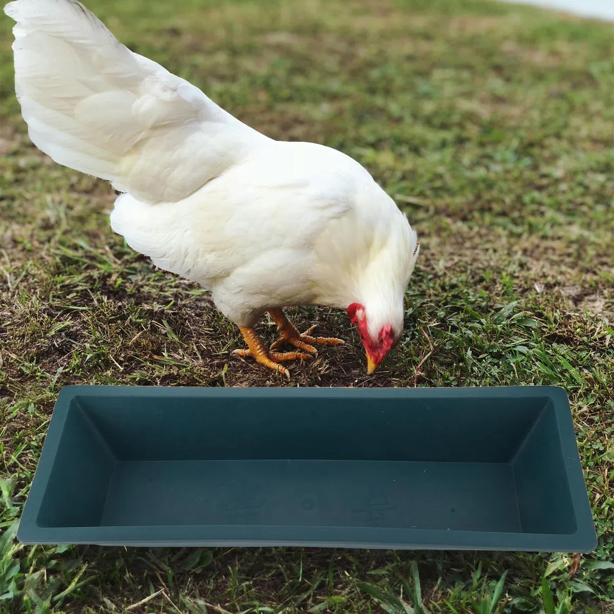 Gatuida Futtertrog für Schweine: Viehfuttertrog, Futternapf für Getreide, Wasser, Geflügel, Ziegen, Schafe und Rinder, Stallnutzung, 60 cm