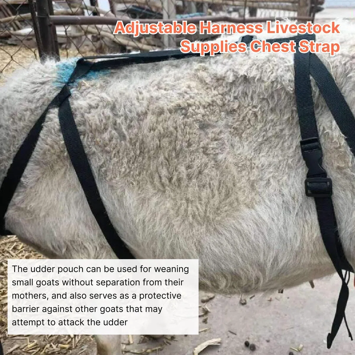 Almencla Ziegen BH Brustschutz Schutzausrüstung Braudder Tasche Schaf Ziegen Braudder Tasche