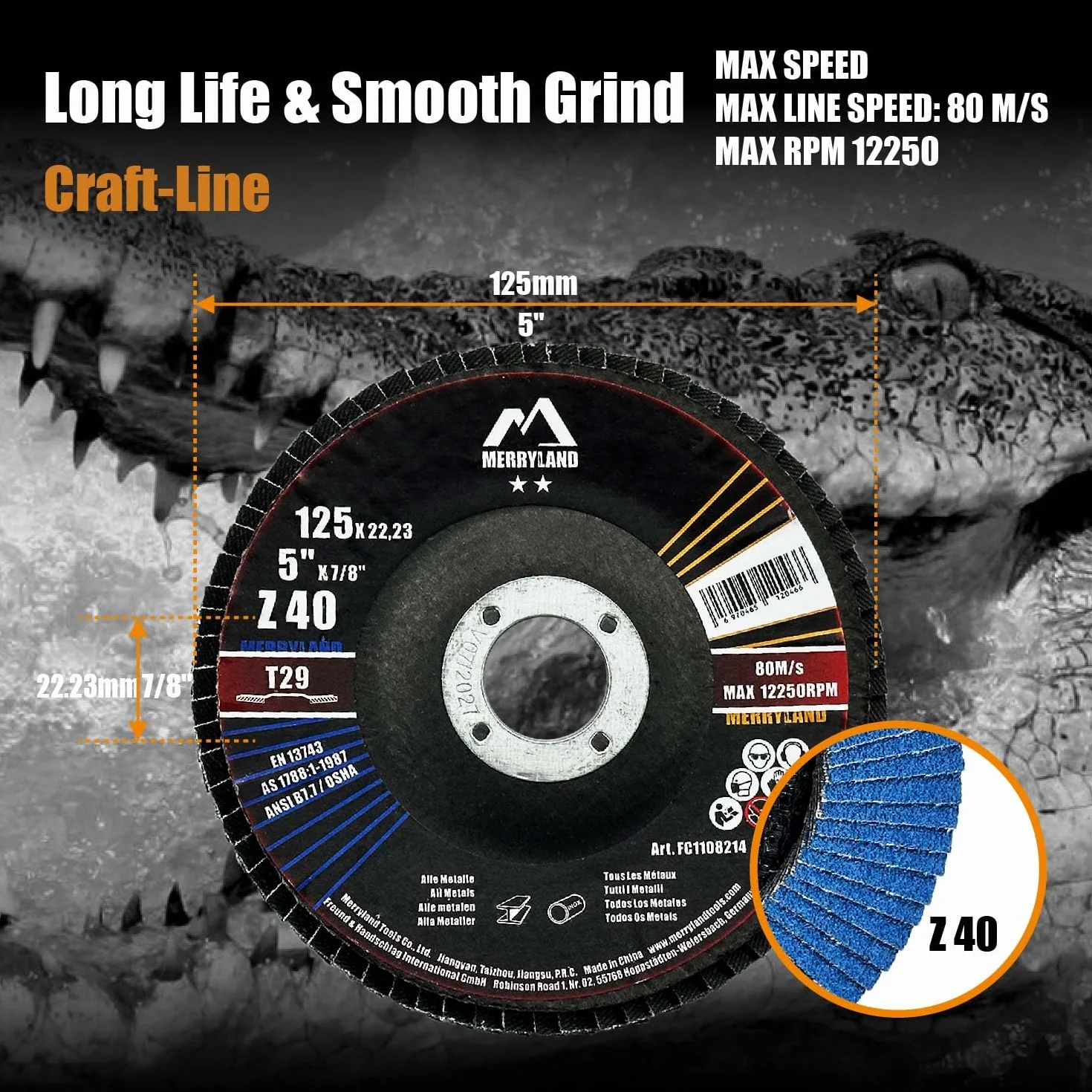 Merryland Fächerscheibe 125 Metall Edelstahl Stahl für Winkelschleifer, 125mm 40K T29 Lamellenscheibe Zirkonkorund Blau Schleifmopteller 20 Stück, Craft-Line FC1108214-20
