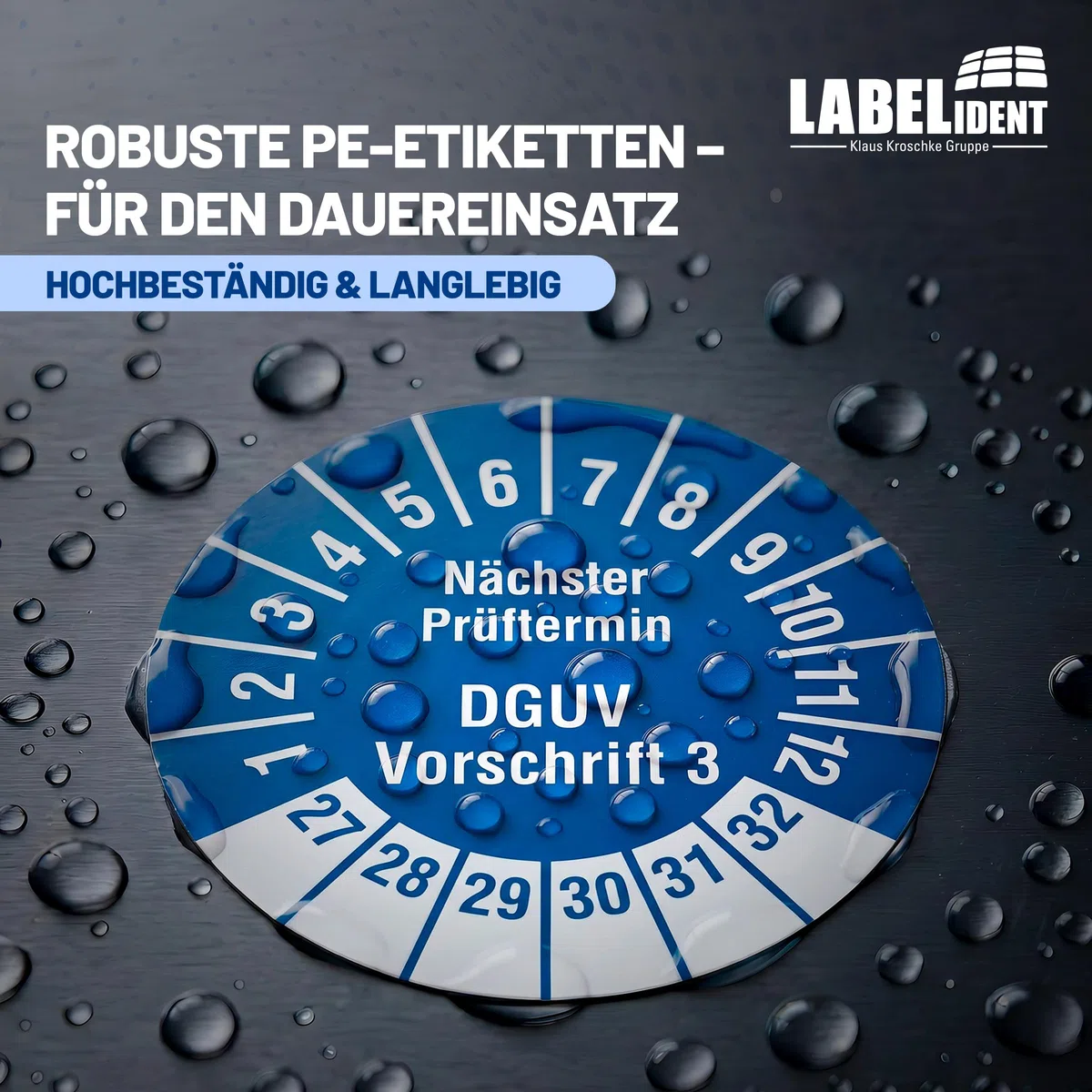 Labelident Prüfplaketten Nächster Prüftermin DGUV Vorschrift 3 - Ø 30 mm - 1.000 auf Rolle, 2027-2032, selbstklebend