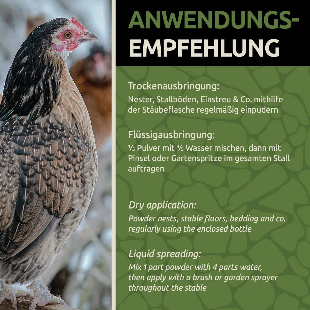GreenPet KiesoVet Kieselgur für Hühner 4kg - gegen Milben, rote Vogelmilbe, Diatomeenerde & Kieselerde Pulver inkl. Stäubeflasche, für Hühnerstall & Geflügel Betriebe, Bio
