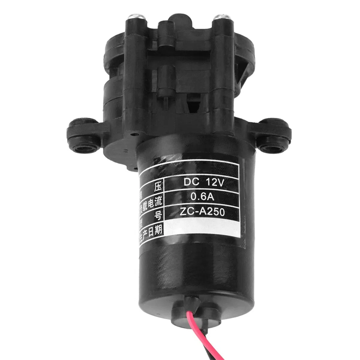 Yctze 12V ZC-A250 Selbstansaugende Zahnradpumpe Gleichstrom-Zahnradpumpe für eine Effiziente Pumpe